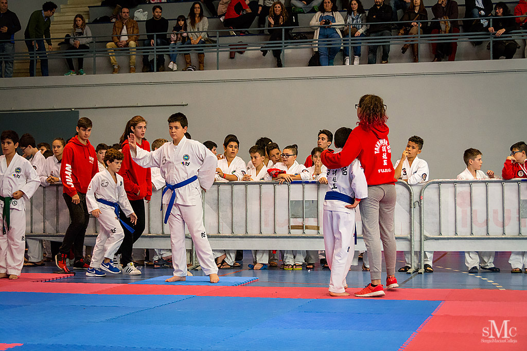 COPA SEUL, 2017  (70).JPG